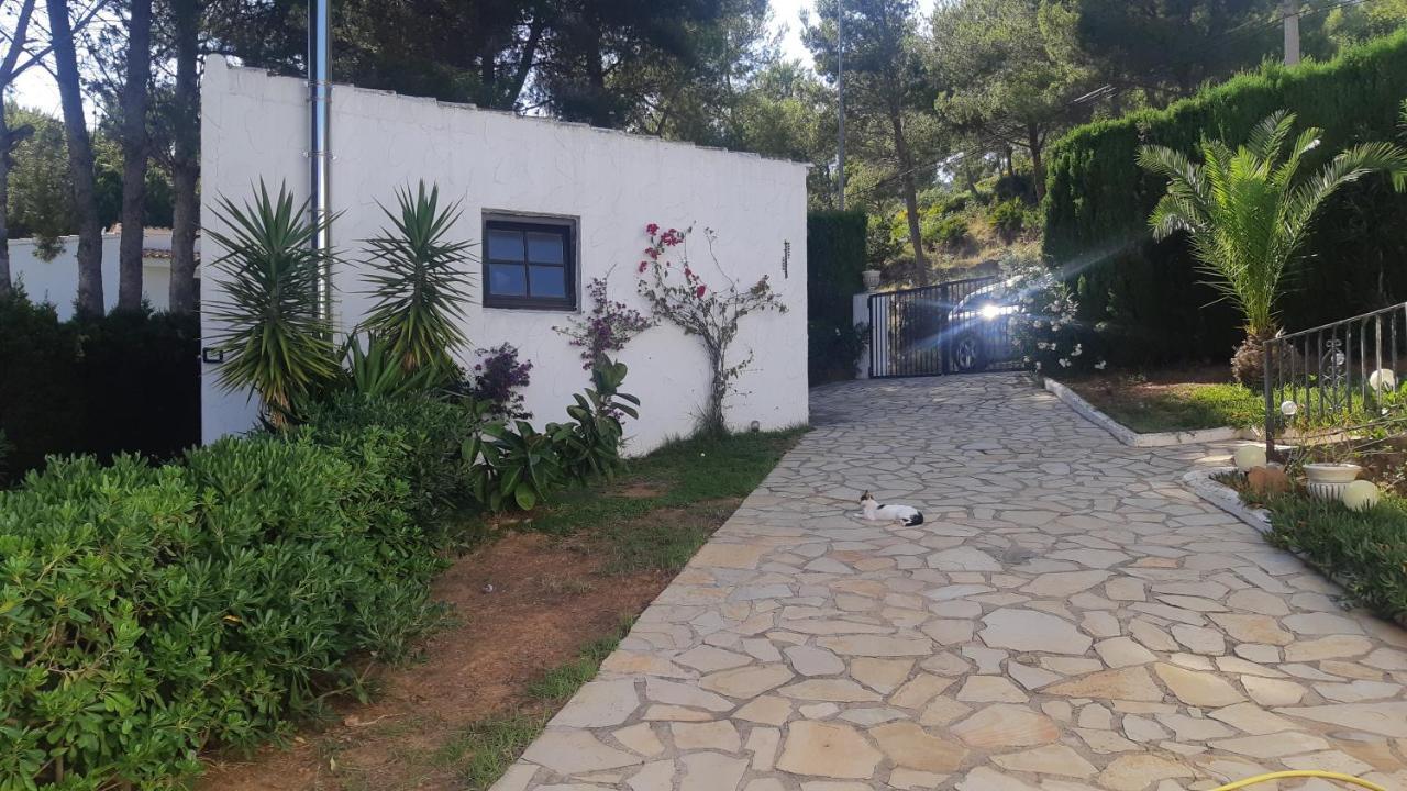 Ferienwohnung Mit Privat-Pool Alcossebre 외부 사진