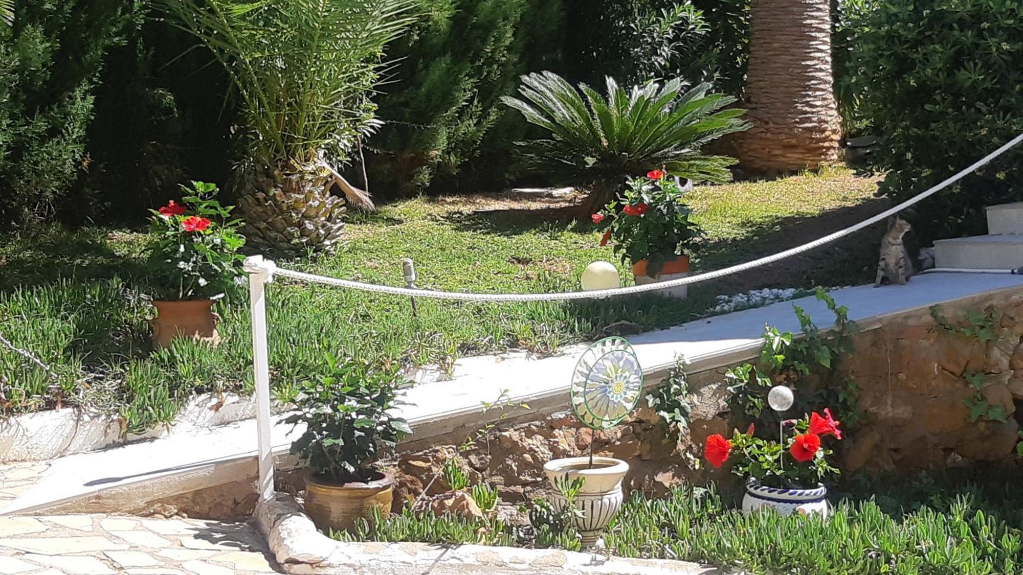 Ferienwohnung Mit Privat-Pool Alcossebre 외부 사진